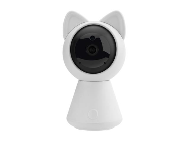 Caméra Wifi Cat 1080p