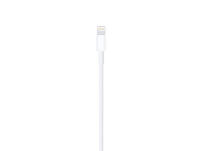 Câble Lightning vers USB 1m Apple Official