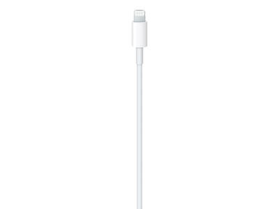 Câble USB-C vers Lightning 1m Apple Official