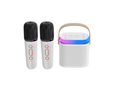 Mini Karaoké EKO Bluetooth 5.3 - Modèle Taylor - Coloris Blanc